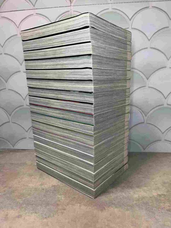 Re / Member - Collection Complète : 17 Tomes