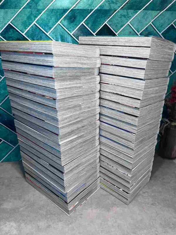 My Hero Academia : Collection Complète - 42 Tomes ( Comme Neuf )