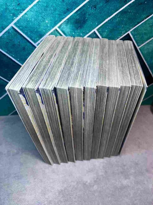 Saint Seiya Episode G : tomes du 1 au 10