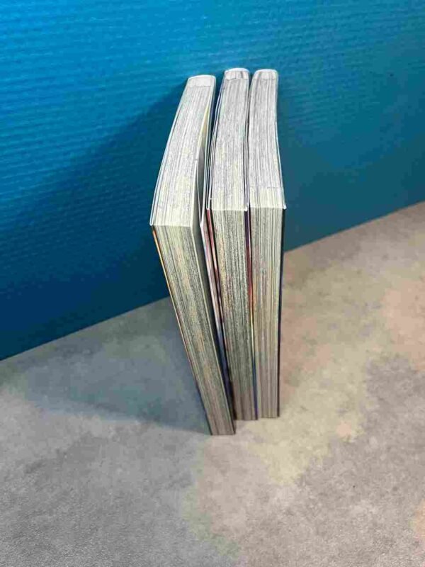 Your Name : Collection Complète - 3 Tomes
