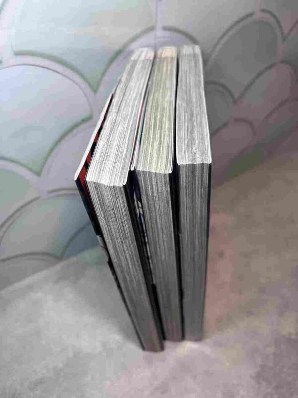 Stunts - The 9th Ghost : Collection Complète - 3 Tomes