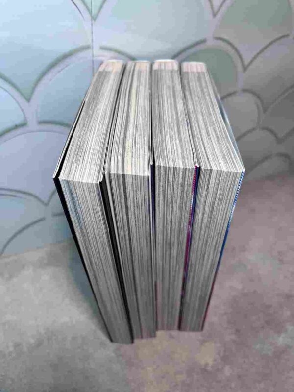 Sky High +  Sky High Karma  : Collection Complète - 4 Tomes