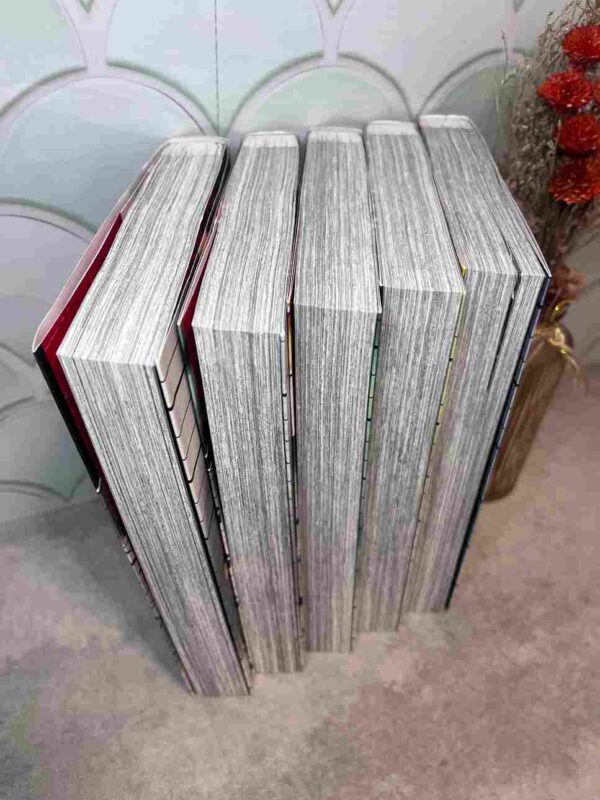 Baki New Grappler - Perfect Edition : Tomes 1 a 5