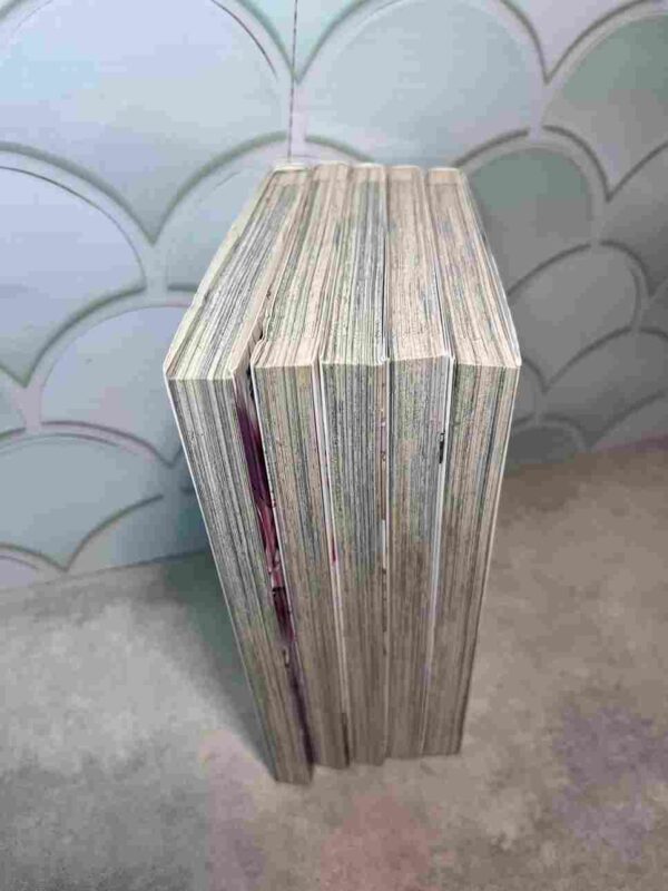 Yakuza Reincarnation  :  Tomes - 1 a 5