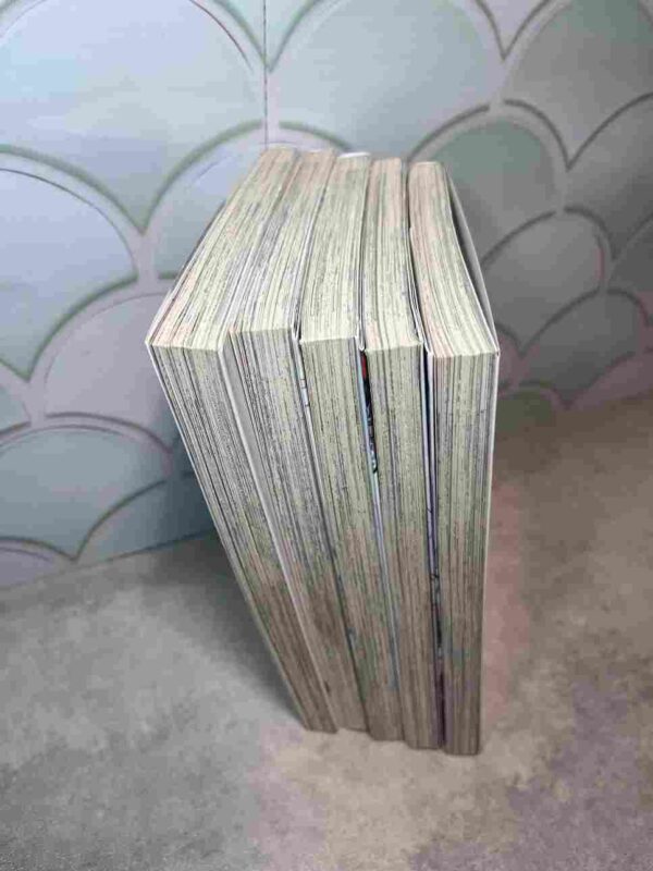 Yakuza Reincarnation  :  Tomes - 1 a 5
