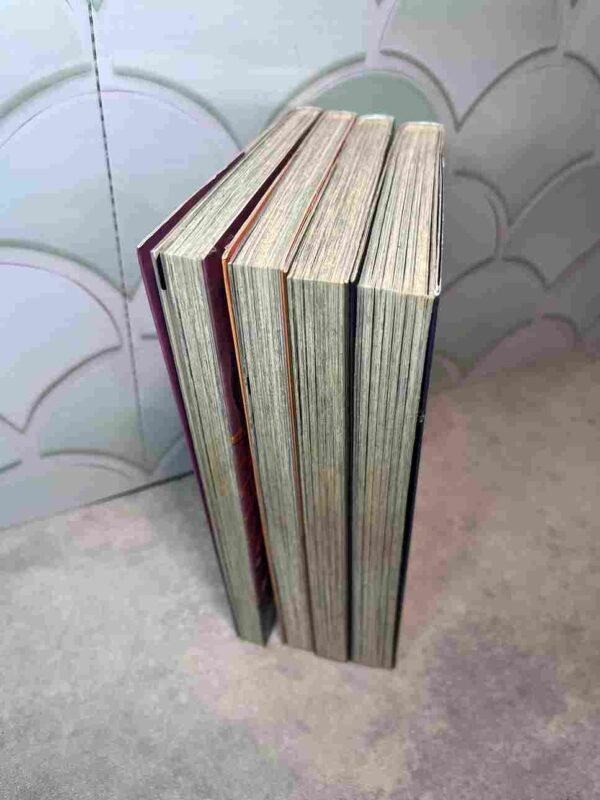 Blue Dragon - Ral Grad : Collection Complète - 4 Tomes