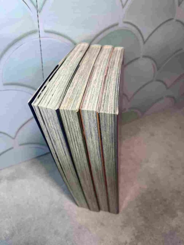 Blue Dragon - Ral Grad : Collection Complète - 4 Tomes