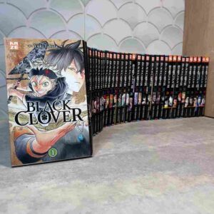 Yuno et Asta sont deux jeunes héros ayant le même rêve : celui de devenir le prochain Empereur Mage du royaume de Clover, grâce à la puissance de la magie.