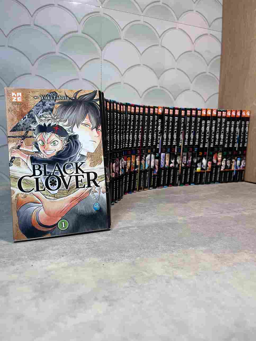 Yuno et Asta sont deux jeunes héros ayant le même rêve : celui de devenir le prochain Empereur Mage du royaume de Clover, grâce à la puissance de la magie.