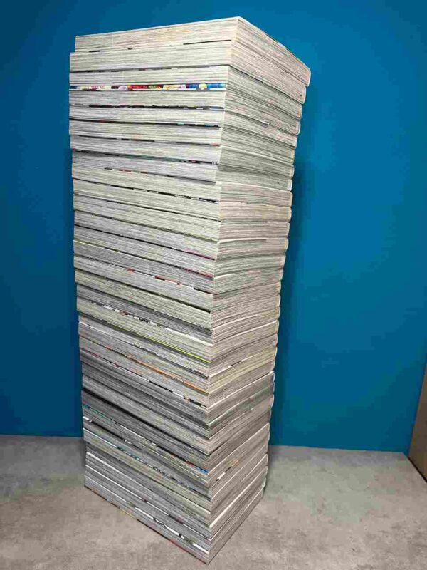 Blue Exorcist : Collection Complète - 32 Tomes