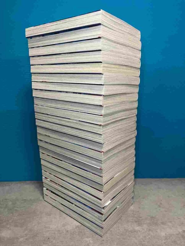 Real Account : Collection Complète - 24 Tomes