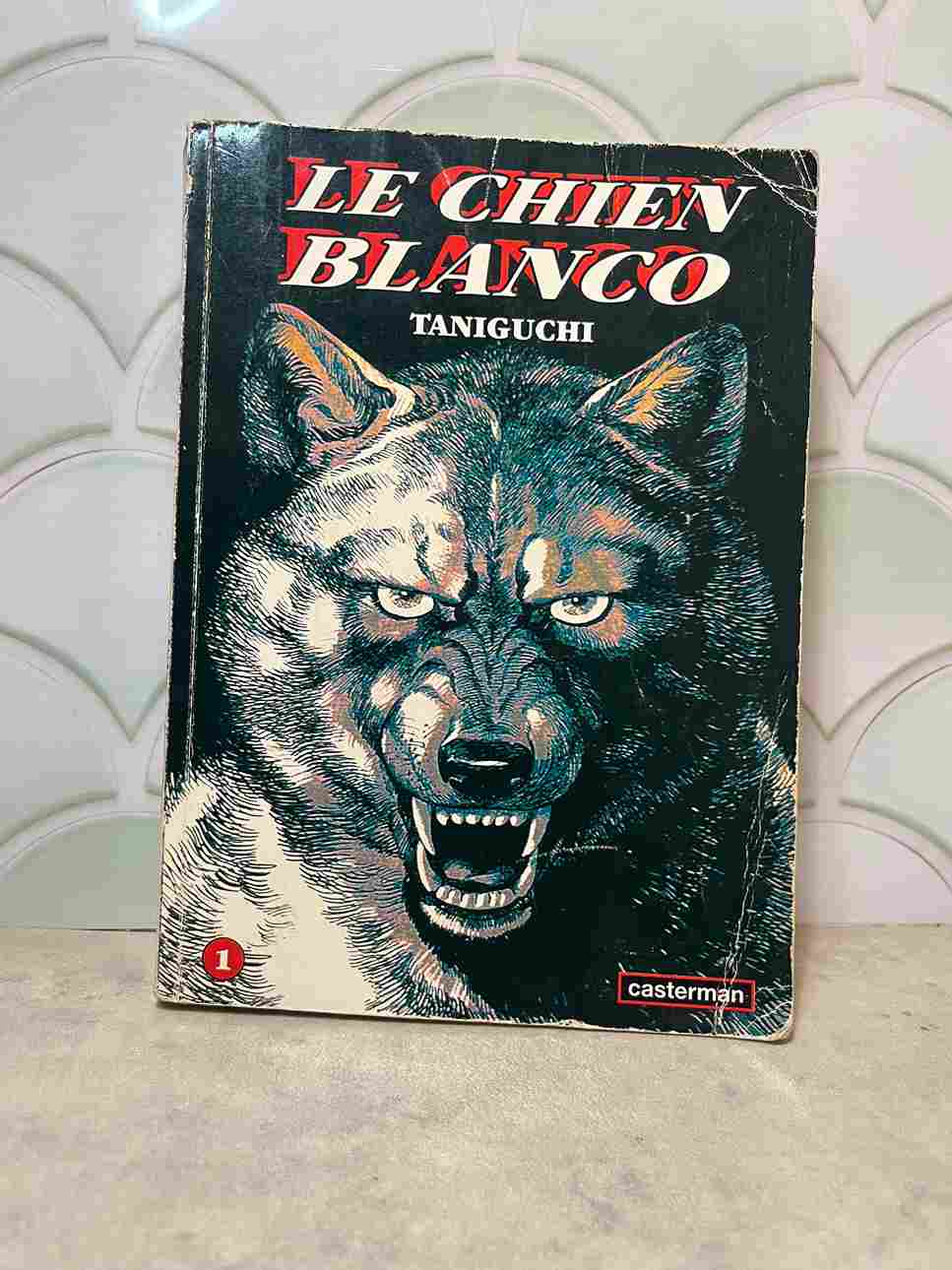 Doué d'une force surnaturelle, le chien Blanco doit son don aux manipulations génétiques du professeur Yapkof qui l'a programmé pour tuer.