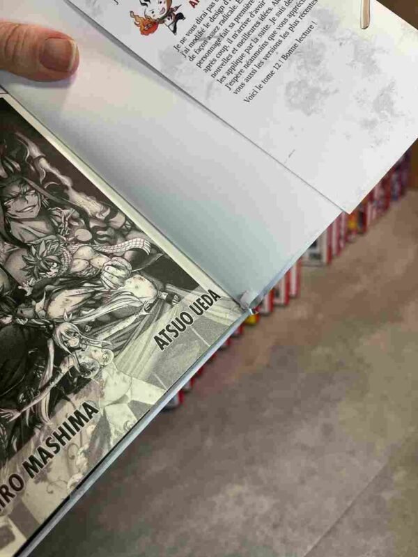 Fairy Tail / 100 Years Quest : Collection Complète - 22 Tomes ( 20 collector )