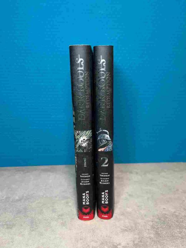 Dark Souls Redemption : Tomes 1 et 2