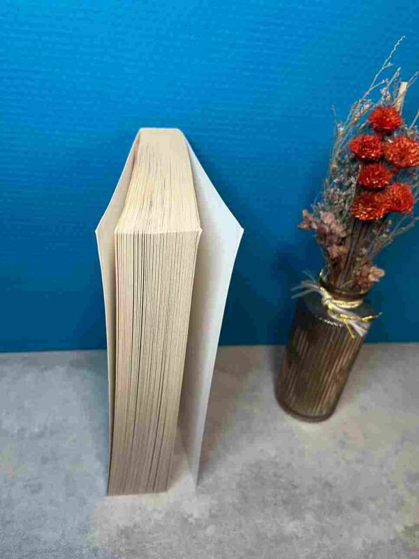 Comme la Foudre - Liam McAllister