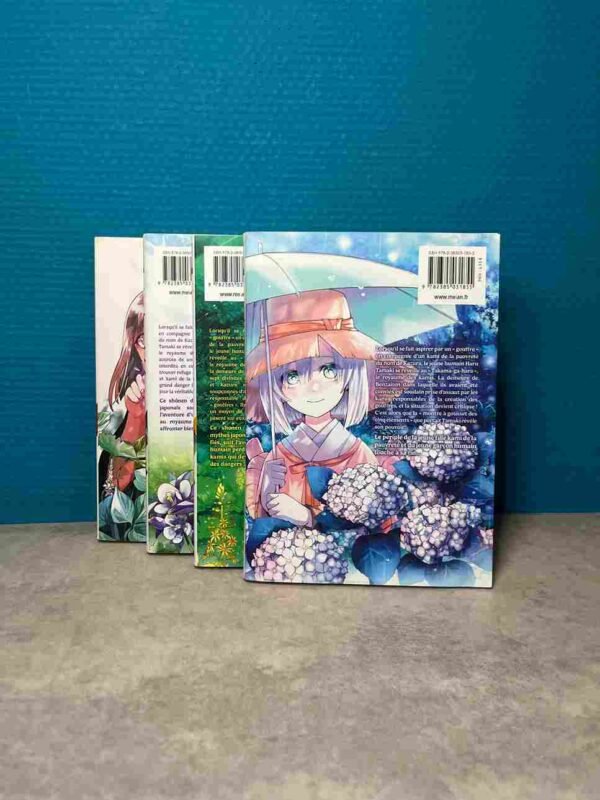 Haru Tamaki est un garçon capable de voir et de parler avec les " kamis ", les innombrables divinités qui peuplent le Japon. Un jour, il fait la rencontre