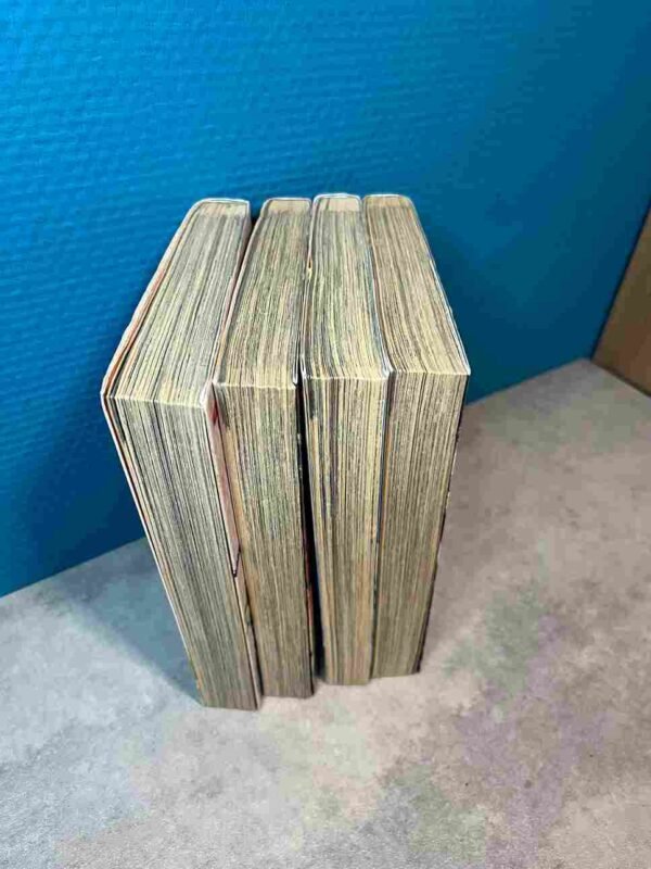 Tajikarao : Collection Complète - 4 Tomes