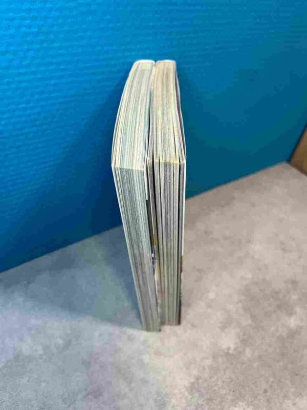 Sword Art Online - Alicization : Tomes 1 et 2