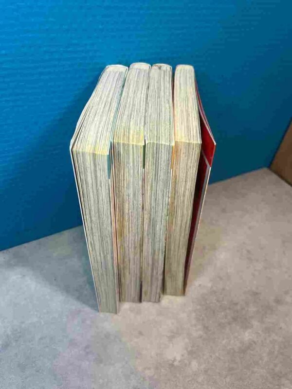 La Nouvelle Vie de Niina  :  Collection Complète - 4 Tomes
