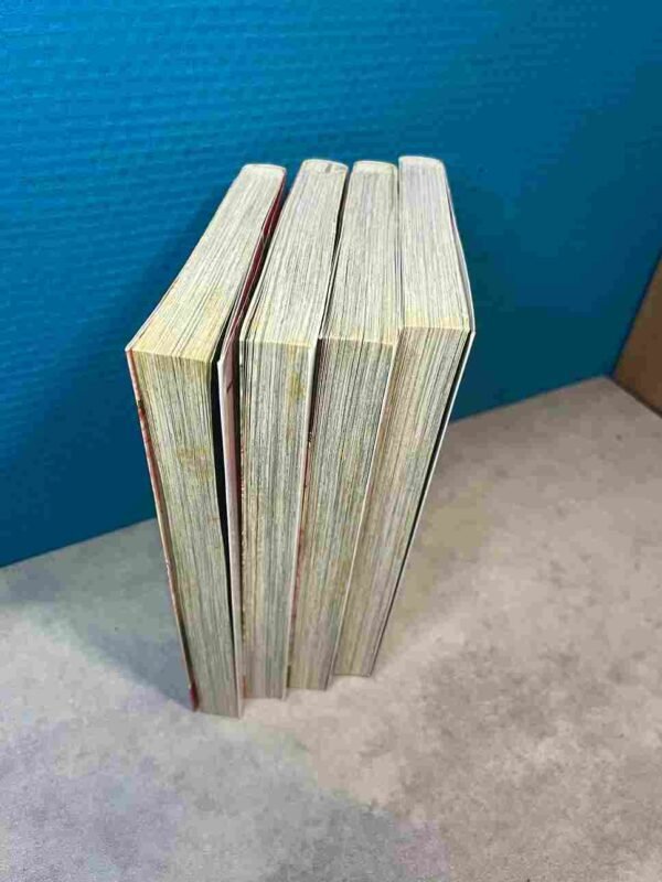 La Nouvelle Vie de Niina  :  Collection Complète - 4 Tomes