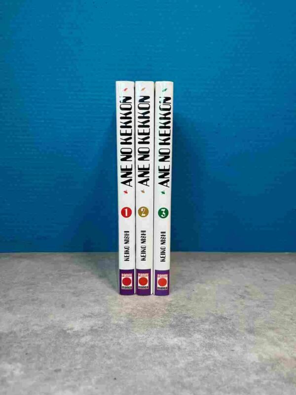 Ane no Kekkon : Collection Complète - 3 Tomes